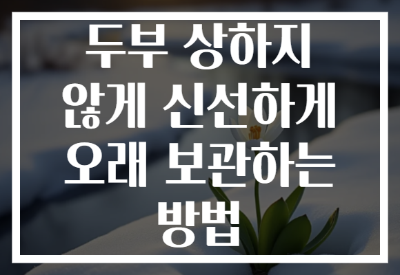 두부 상하지 않게 신선하게 오래 보관하는 방법
