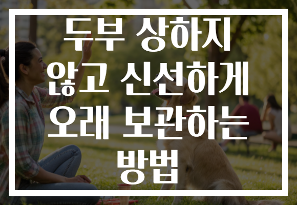 두부 상하지 않고 신선하게 오래 보관하는 방법