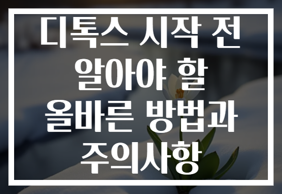 디톡스 시작 전 알아야 할 올바른 방법과 주의사항