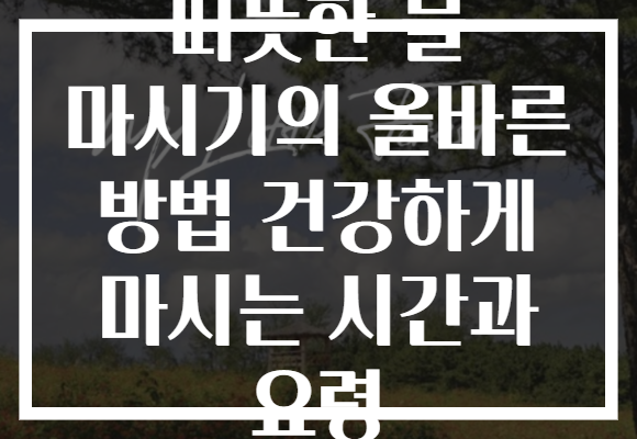 따뜻한 물 마시기의 올바른 방법 건강하게 마시는 시간과 요령