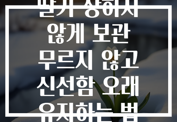 딸기 상하지 않게 보관 무르지 않고 신선함 오래 유지하는 법
