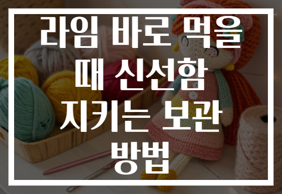 라임 바로 먹을 때 신선함 지키는 보관 방법