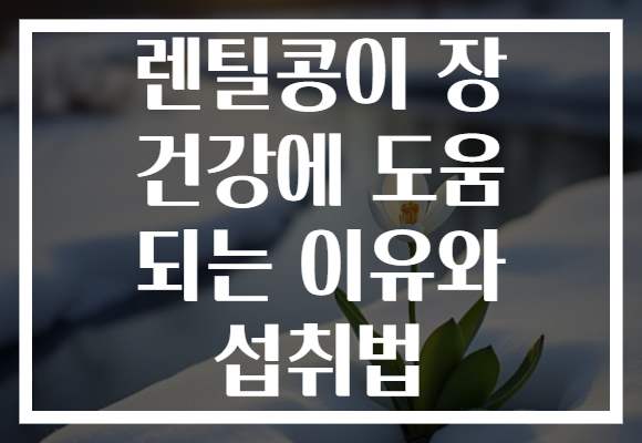 렌틸콩이 장 건강에 도움 되는 이유와 섭취법