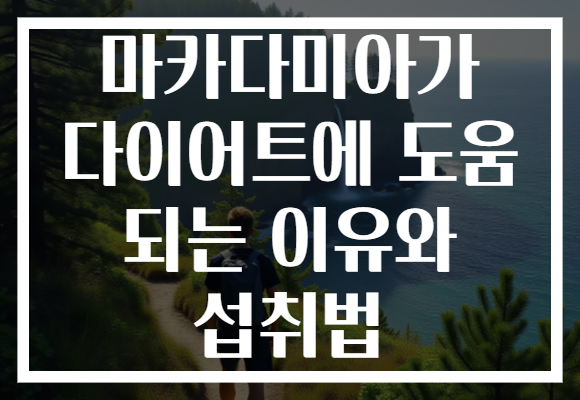 마카다미아가 다이어트에 도움 되는 이유와 섭취법