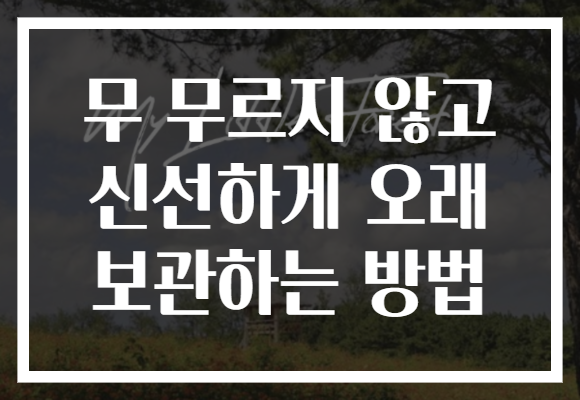무 무르지 않고 신선하게 오래 보관하는 방법