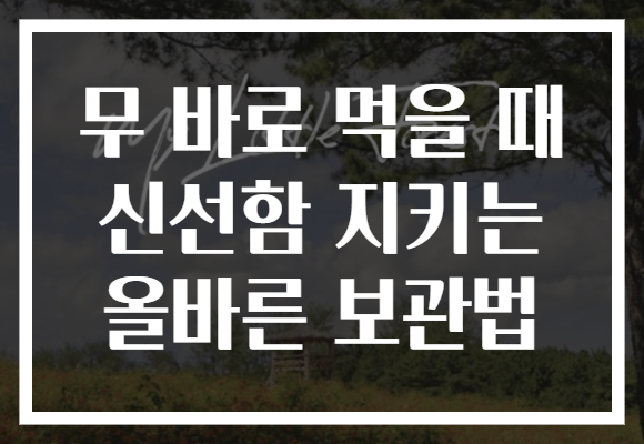무 바로 먹을 때 신선함 지키는 올바른 보관법