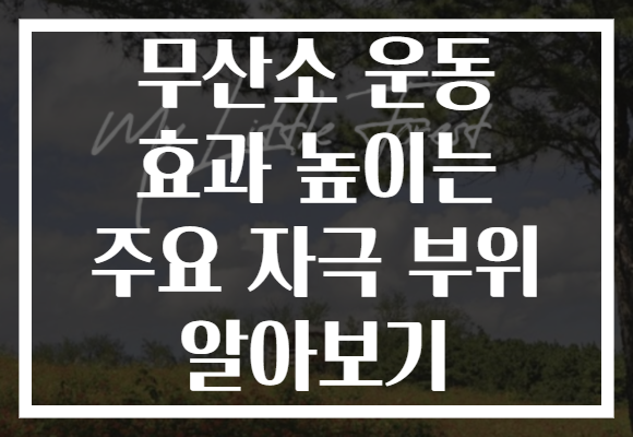 무산소 운동 효과 높이는 주요 자극 부위 알아보기