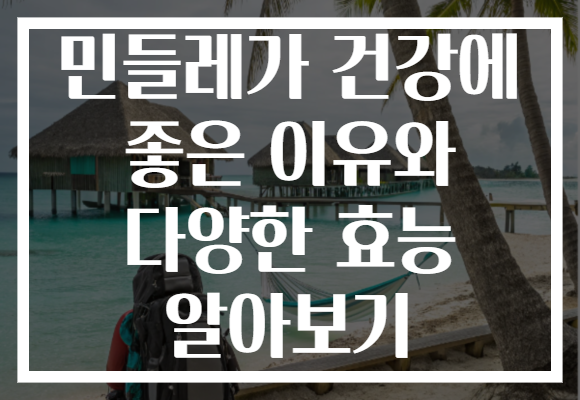 민들레가 건강에 좋은 이유와 다양한 효능 알아보기