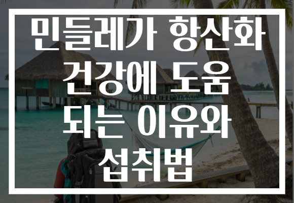 민들레가 항산화 건강에 도움 되는 이유와 섭취법