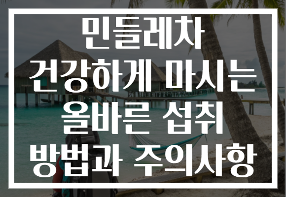 민들레차 건강하게 마시는 올바른 섭취 방법과 주의사항