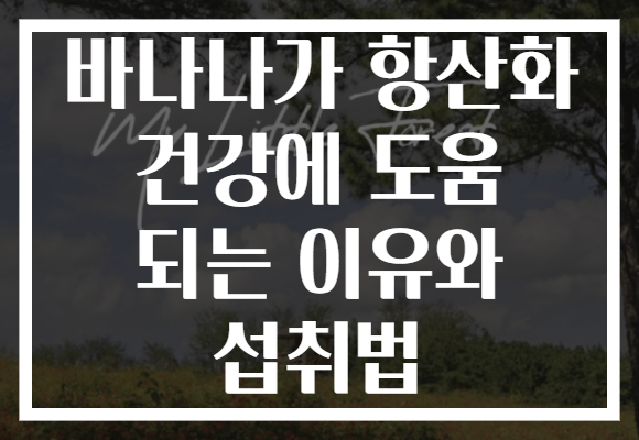 바나나가 항산화 건강에 도움 되는 이유와 섭취법