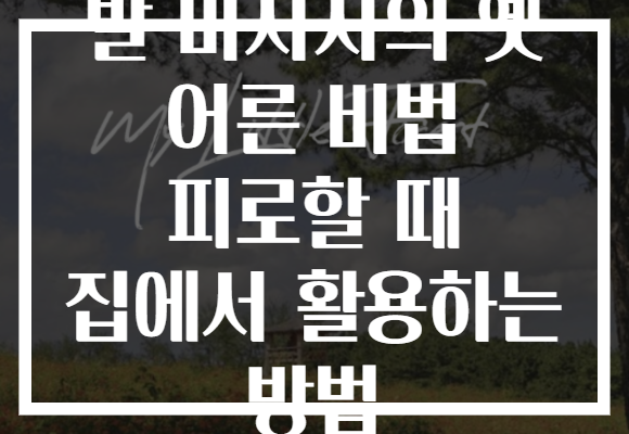 발 마사지의 옛 어른 비법 피로할 때 집에서 활용하는 방법