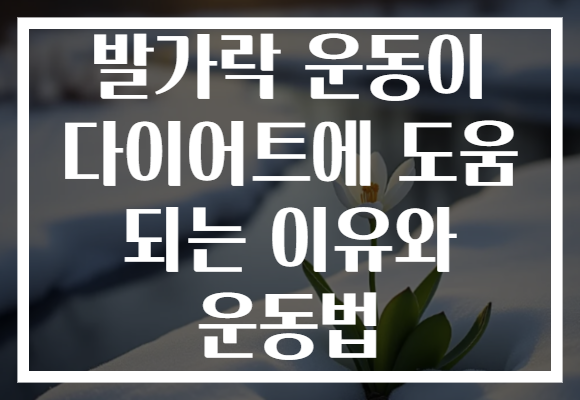 발가락 운동이 다이어트에 도움 되는 이유와 운동법
