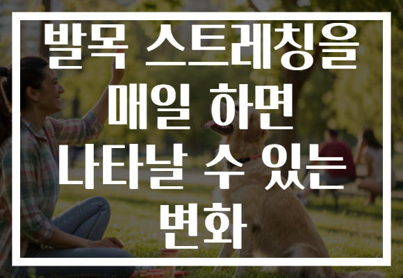 발목 스트레칭을 매일 하면 나타날 수 있는 변화