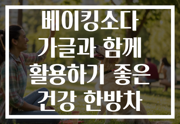베이킹소다 가글과 함께 활용하기 좋은 건강 한방차