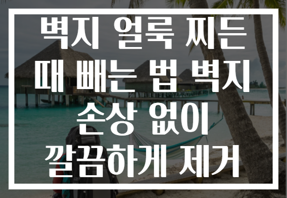벽지 얼룩 찌든 때 빼는 법 벽지 손상 없이 깔끔하게 제거