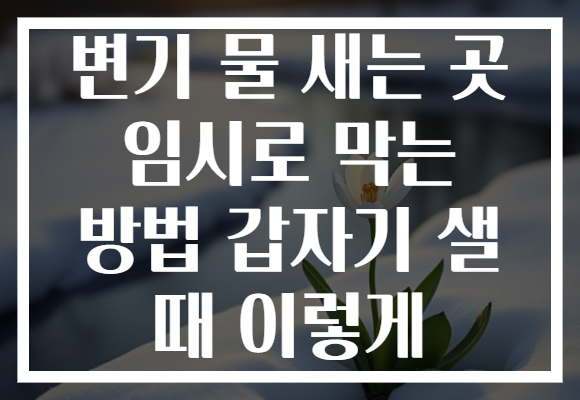 변기 물 새는 곳 임시로 막는 방법 갑자기 샐 때 이렇게