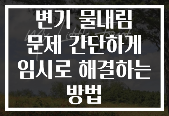 변기 물내림 문제 간단하게 임시로 해결하는 방법
