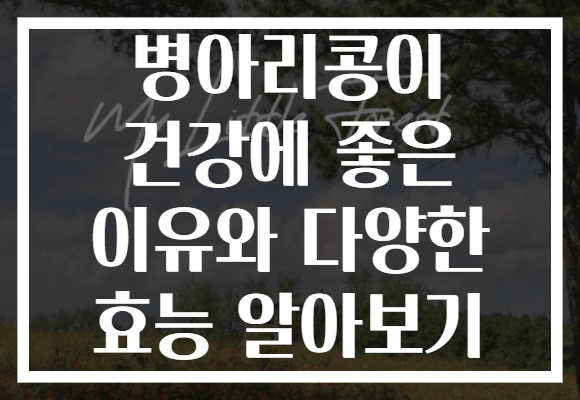 병아리콩이 건강에 좋은 이유와 다양한 효능 알아보기
