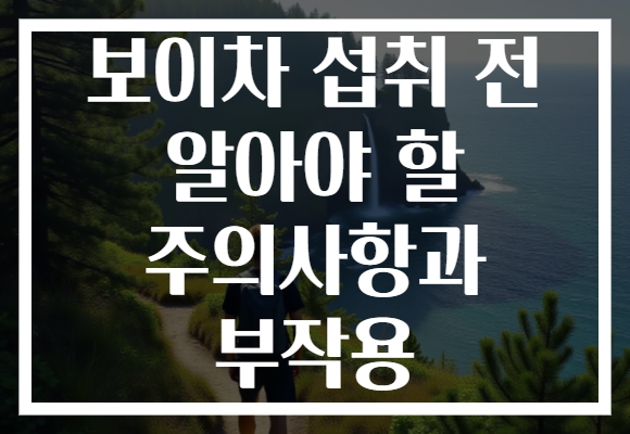 보이차 섭취 전 알아야 할 주의사항과 부작용