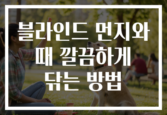 블라인드 먼지와 때 깔끔하게 닦는 방법