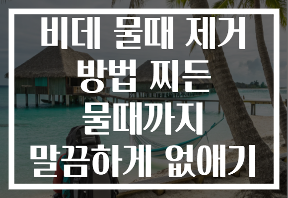 비데 물때 제거 방법 찌든 물때까지 말끔하게 없애기