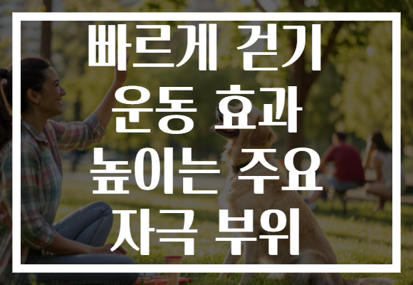 빠르게 걷기 운동 효과 높이는 주요 자극 부위