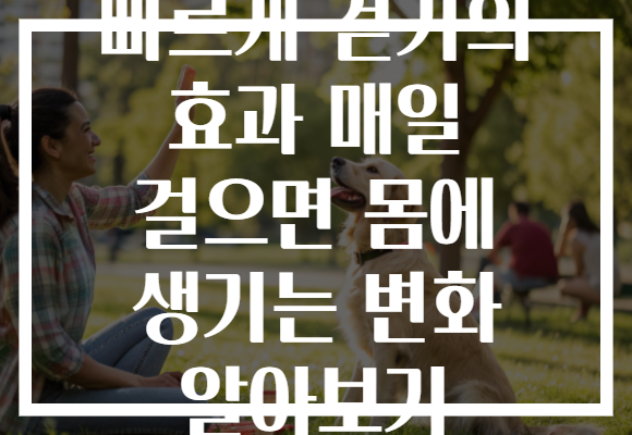 빠르게 걷기의 효과 매일 걸으면 몸에 생기는 변화 알아보기