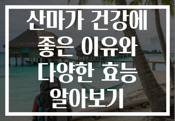 산마가 건강에 좋은 이유와 다양한 효능 알아보기