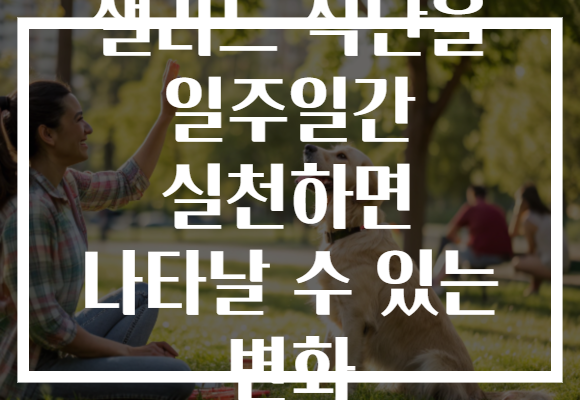 샐러드 식단을 일주일간 실천하면 나타날 수 있는 변화