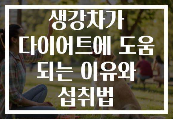 생강차가 다이어트에 도움 되는 이유와 섭취법