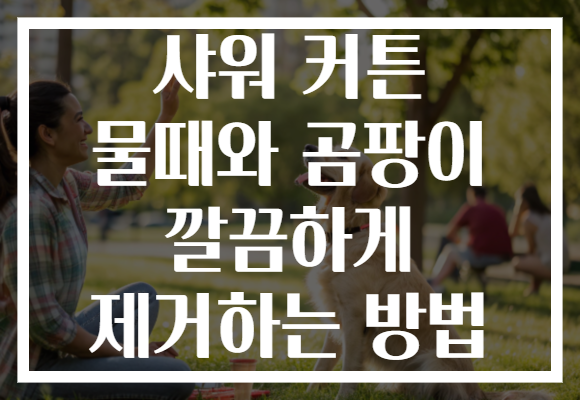 샤워 커튼 물때와 곰팡이 깔끔하게 제거하는 방법