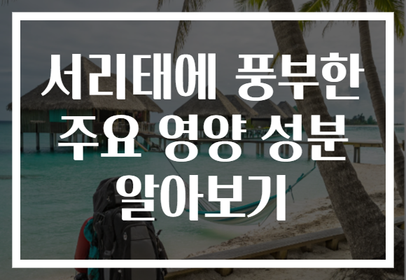 서리태에 풍부한 주요 영양 성분 알아보기