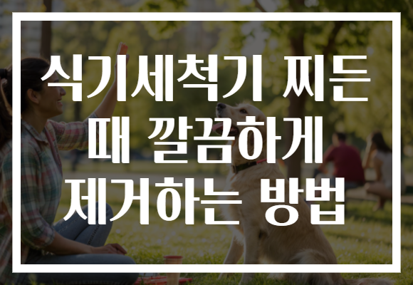 식기세척기 찌든 때 깔끔하게 제거하는 방법