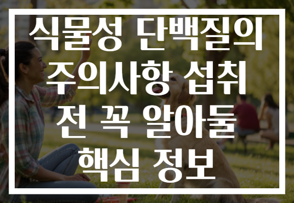 식물성 단백질의 주의사항 섭취 전 꼭 알아둘 핵심 정보
