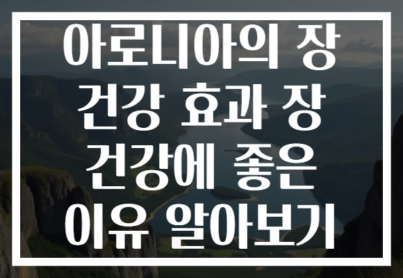 아로니아의 장 건강 효과 장 건강에 좋은 이유 알아보기