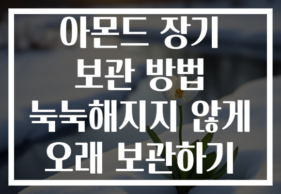 아몬드 장기 보관 방법 눅눅해지지 않게 오래 보관하기
