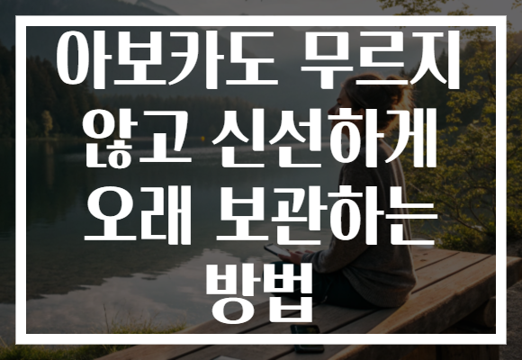 아보카도 무르지 않고 신선하게 오래 보관하는 방법