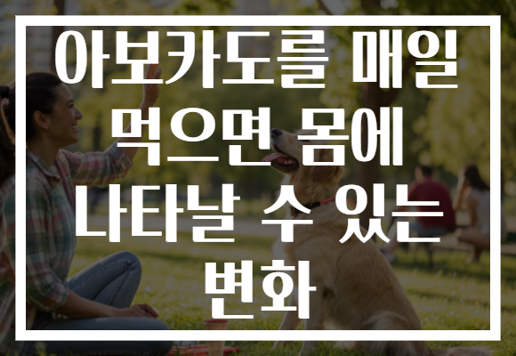 아보카도를 매일 먹으면 몸에 나타날 수 있는 변화