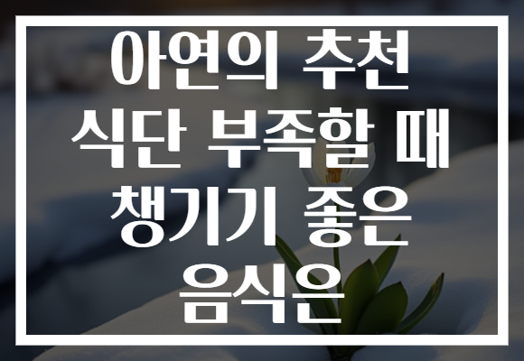 아연의 추천 식단 부족할 때 챙기기 좋은 음식은