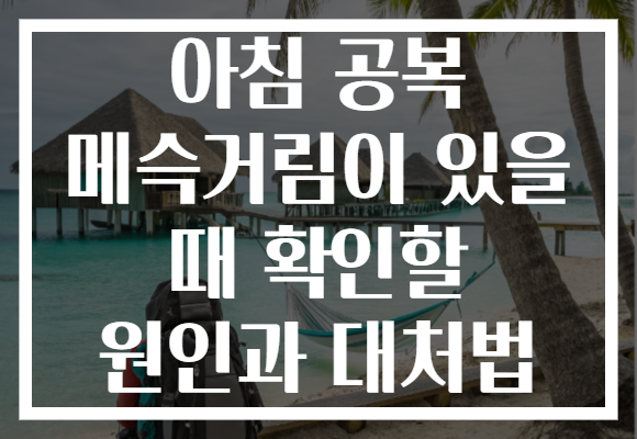 아침 공복 메슥거림이 있을 때 확인할 원인과 대처법