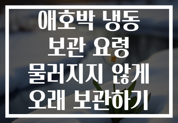 애호박 냉동 보관 요령 물러지지 않게 오래 보관하기