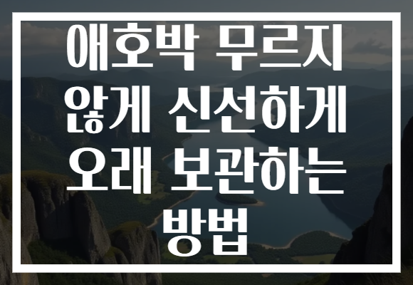 애호박 무르지 않게 신선하게 오래 보관하는 방법