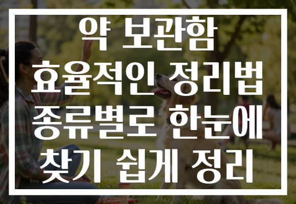 약 보관함 효율적인 정리법 종류별로 한눈에 찾기 쉽게 정리
