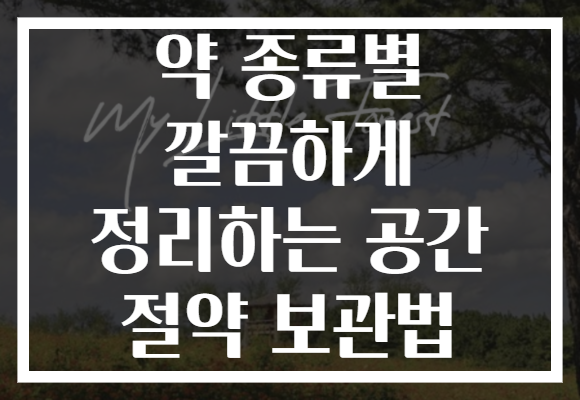 약 종류별 깔끔하게 정리하는 공간 절약 보관법
