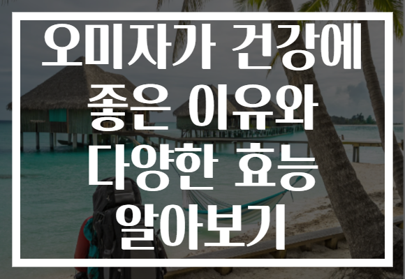 오미자가 건강에 좋은 이유와 다양한 효능 알아보기