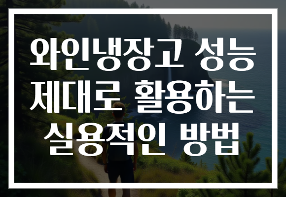 와인냉장고 성능 제대로 활용하는 실용적인 방법