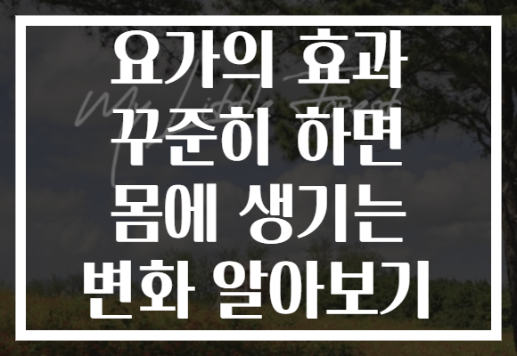 요가의 효과 꾸준히 하면 몸에 생기는 변화 알아보기