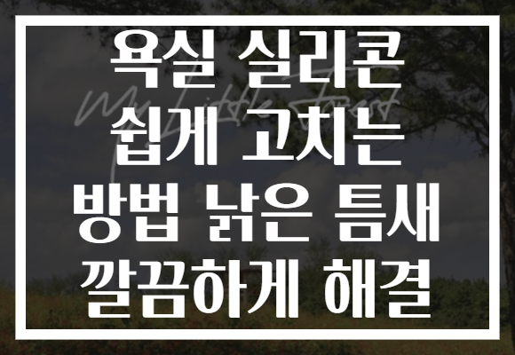 욕실 실리콘 쉽게 고치는 방법 낡은 틈새 깔끔하게 해결