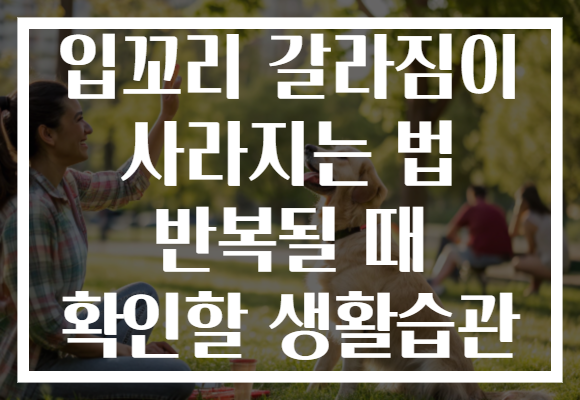 입꼬리 갈라짐이 사라지는 법 반복될 때 확인할 생활습관